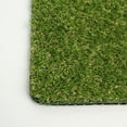 thumbnail image 4 of EastVita Artificial Grass Dog Pee Mat For Puppy Professional Dog Potty Training Rug Washable Pet Turf Fake Grass Replacement Doormat For Indoor Oudoor, 4 of 8