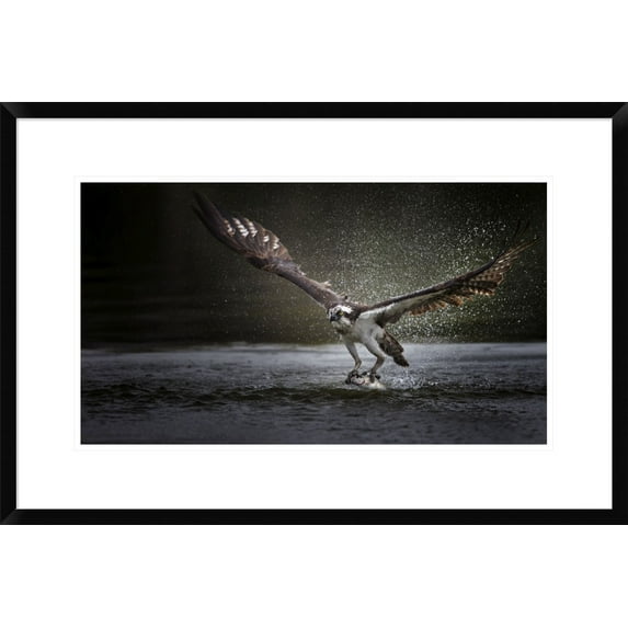 Global Gallery Phillip Chang 'Deadly Catch' Framed Wall Art