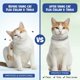 thumbnail image 5 of Collar antipulgas y antigarrapatas para gatos BKRMART, 8 meses, impermeable, 2 unidades, 5 of 7