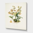 thumbnail image 3 of Designart ' Ancient Flower I ' Traditional Canvas Wall Art Print, 3 of 4