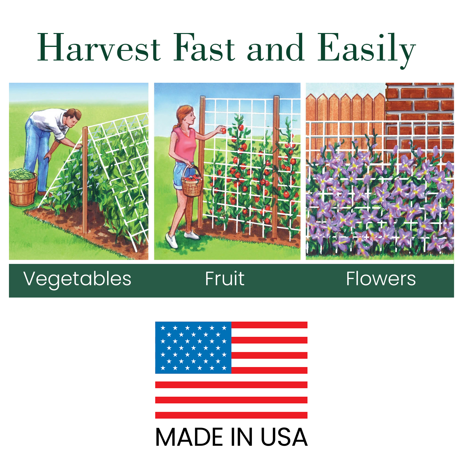 Dalen Trellis Netting Kit for Vertical Gardening – Heavy Duty Material – Tangle Free Nylon - 6" Mesh - 5/8 in Pole Structure