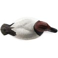thumbnail image 4 of DOA Canvasback Duck Decoy Foam Filled 6 Pack, 4 of 6