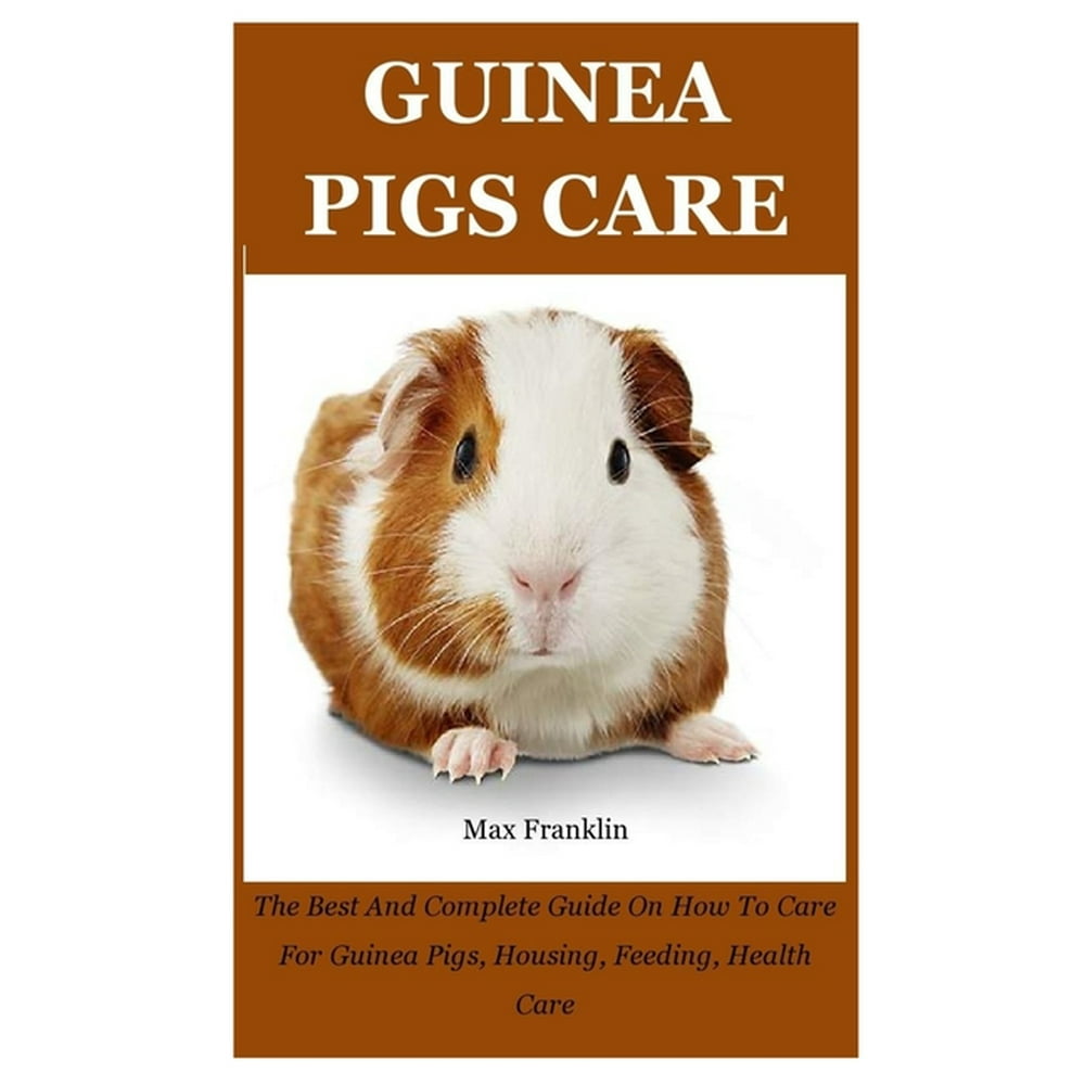 Guinea Pigs The Best And Complete Guide On How To Care For Guinea