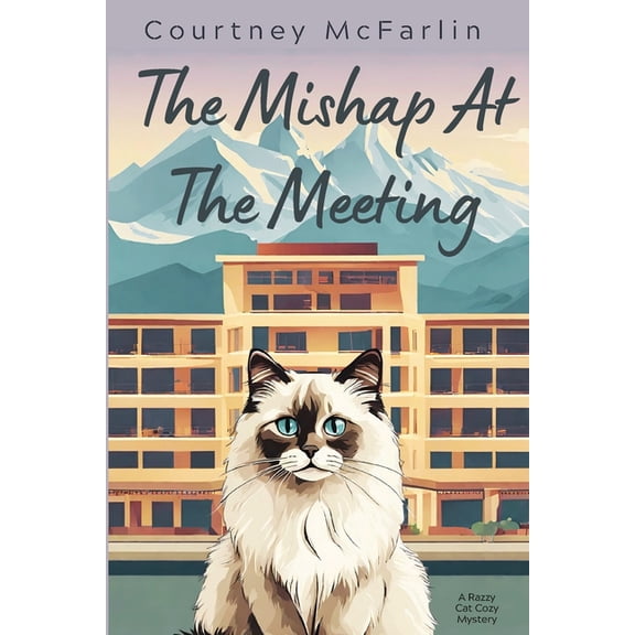The Mishap at the Meeting, (Paperback)