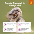 thumbnail image 3 of Zesty Paws Skin & Coat Bites + Salmon Oil, Salmon 250ct, 3 of 10