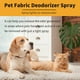 thumbnail image 3 of Spray de desodorización de mascotas para perros y gatos | Bruma hidratante a base de hierbas y perfume nutritivo para mascotas | Aroma afrutado a naranja y frambuesa | Eliminador de olores de larga, 3 of 8