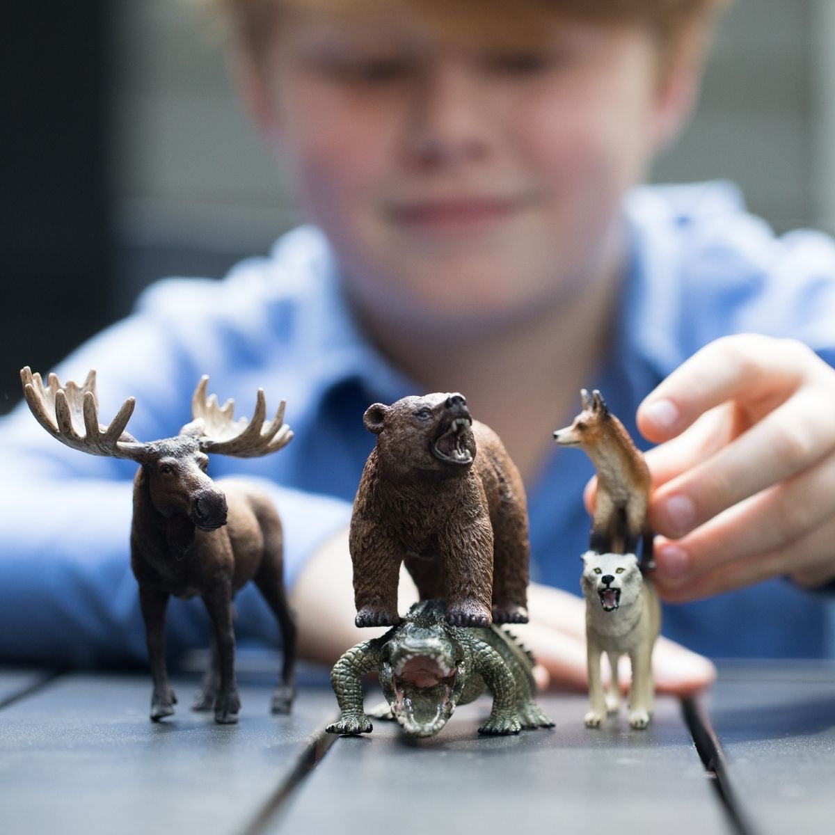 Schleich Wild Life 5 PC North American Animal Toy Bundle with Moose, Grizzly Bear, Alligator, Fox, and Wolf