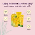 thumbnail image 3 of Lily Of The Desert Aloe Vera Gelly, 3 of 6