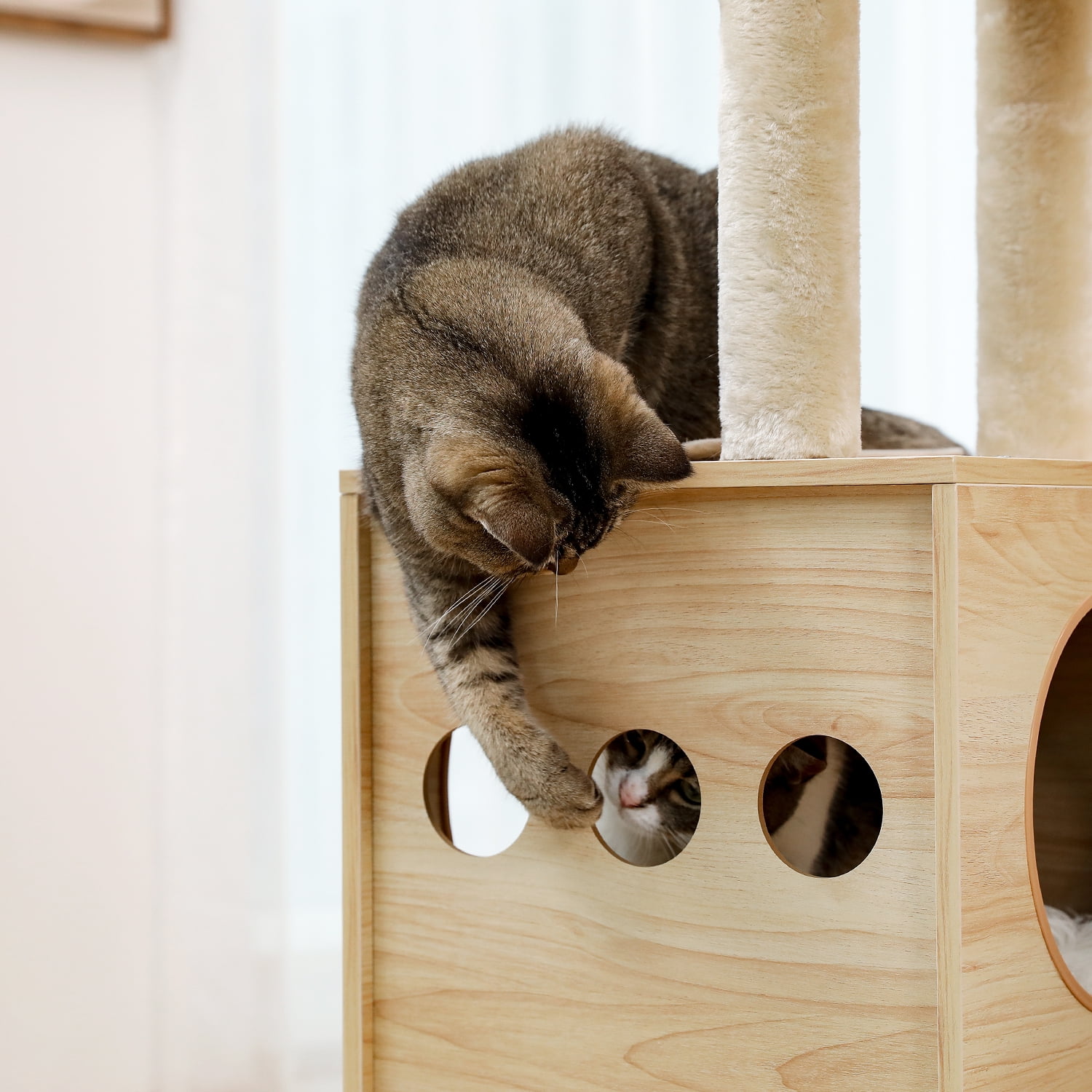 Pefilos 50" Modern Cat Tower for Indoor Cats with Grab Posts Fully Covered in Sisal, Cat Condo for Multiple Cats and Cat Tower for Large Cats Space Capsule Nests Pefilos 50" Modern Cat Tower for Indoor Cats with Grab Posts Fully Covered in Sisal, Cat Condo for Multiple Cats and Cat Tower for Large Cats Space Capsule Nests