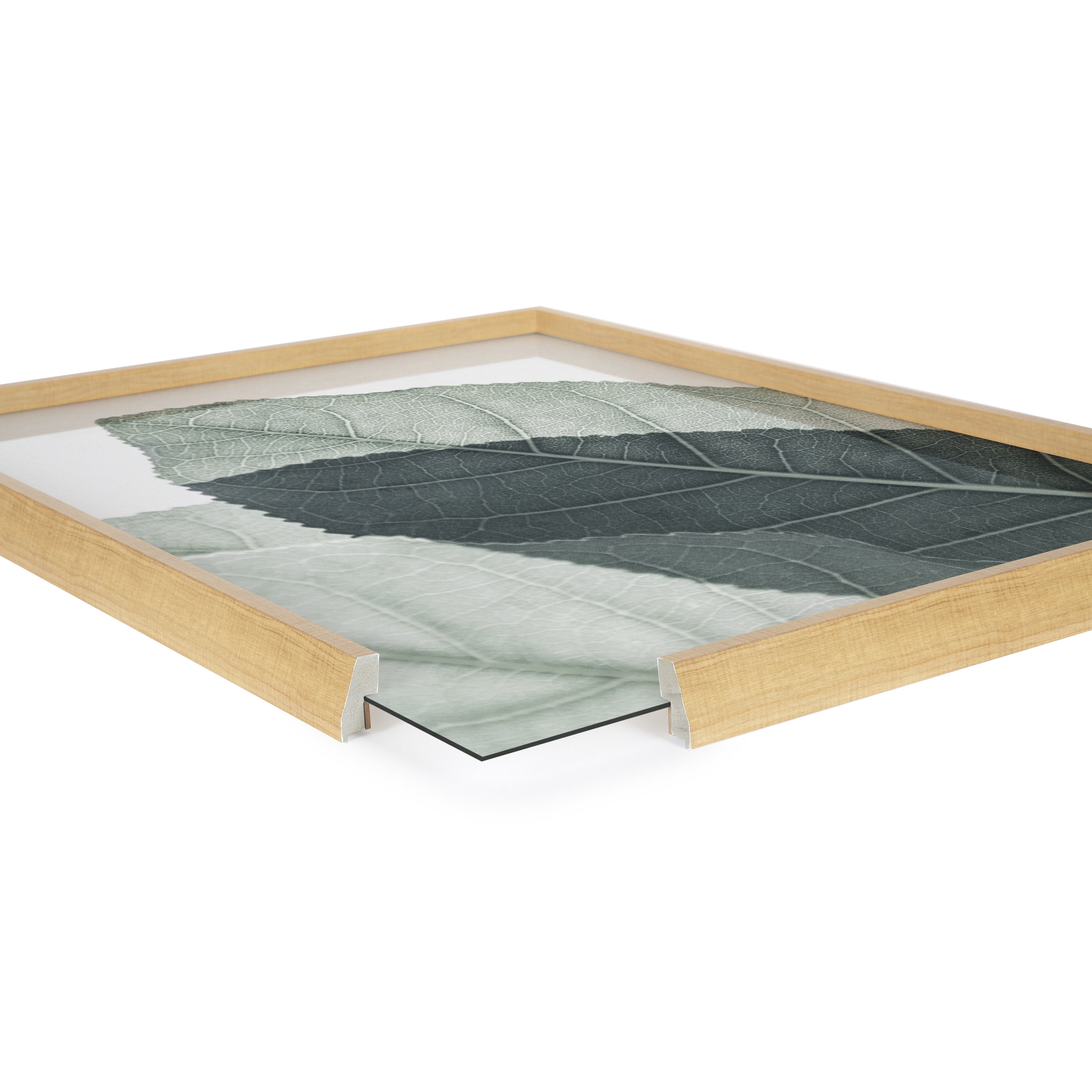 Blake Modern Green Leaf Botanical II 18 in x 24 in Framed Photography Art Prints, by Kate and Laurel