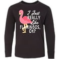thumbnail image 3 of Inktastic I Just Really Like Flamingos Ok with Pink Flamingo Long Sleeve Youth T-Shirt, 3 of 5