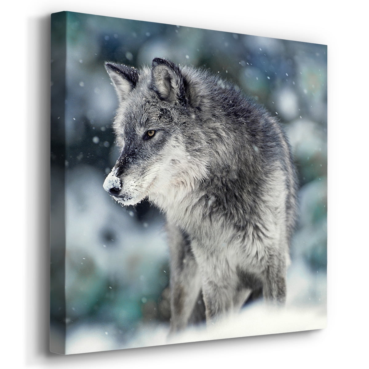 Wexford Home Wildlife Animal Wall Art 24 x 24 inches Each, Fox Wolf Polar Bear Chickadee Picture Prints Set of 4 Decoration for Cabin Motel Home Wall Decor