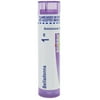 Boiron Belladonna 1M, Homeopathic Medicine for High Fever (Up To 102F) Of Sudden Onset With Perspiration, 80 Pellets