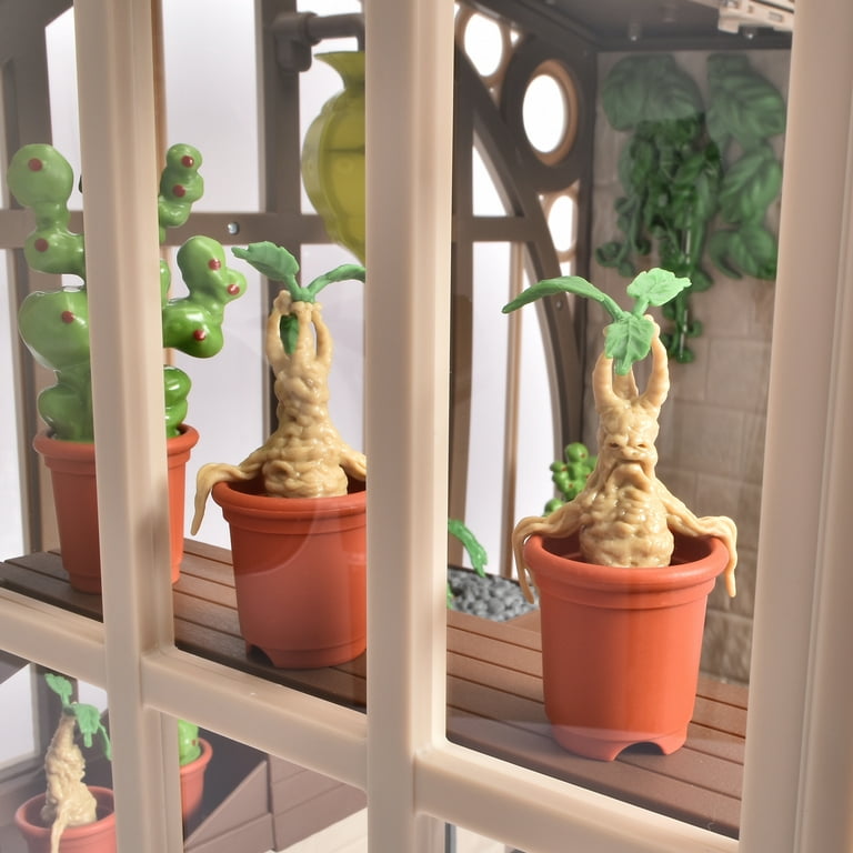 le sansevieria Sansevieria trifasciata 'Laurentii'