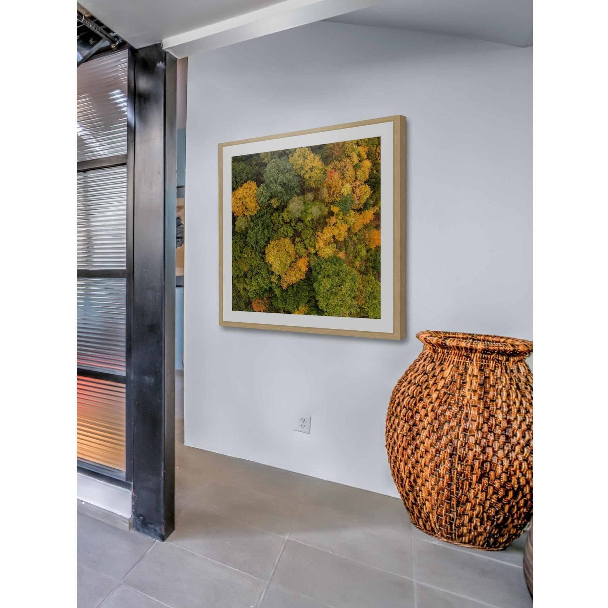 Marmont Hill "Bush Bunch" by Karolis Janulis Framed Painting Art Print
