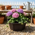 thumbnail image 4 of Shallow Succulent Plant Pots, Shallow Planter with Tray and Drainage Holes, Decorative Plastic Planters for Indoor and Outdoor Gardening, Succulent pots for Succulents Cactus and Herbs, 4 of 6