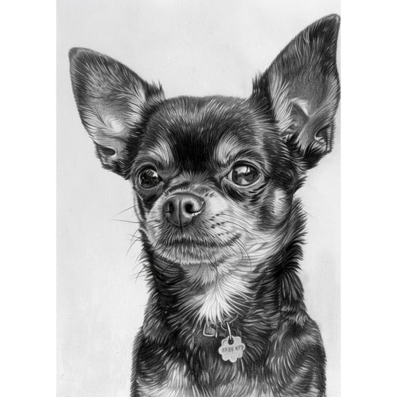 Black Chihuahua Dog 5D Diamond Art DIY Paint with Full Drill Round Diamond Gems Painting by Number Kits for Adults Art Craft Home Wall Decor 11.8x15.8inch