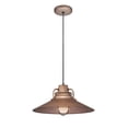 thumbnail image 6 of RRRC14-CP-Millennium Lighting-R Series - 1 Light Pendant-9.5 Inches Tall and 14 Inches Wide Copper  Satin Black Finish with Etched Glass, 6 of 7
