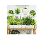 thumbnail image 2 of 6 Piezas Plantas Helecho Artificiales Xtellar Decorativas En Macetas Verdes, Ideales Para Oficina, Baño, Escritorio Y Decoración blanco, 2 of 4