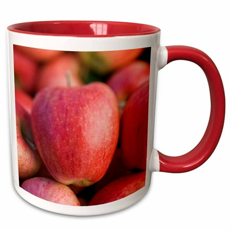 

3dRose British Columbia. Okanagan Valley. Gala Apples-CN02 RTI0070 - Rob Tilley - Two Tone Red Mug 11-ounce
