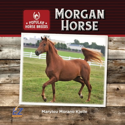 Pre-Owned Morgan Horse (Hardcover) 1680205692 9781680205695