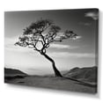 thumbnail image 2 of Designart "Monochrome Coastal Horizon With A Solitary Tree I" Coastal Minimalism Wall Art Prints, 2 of 7