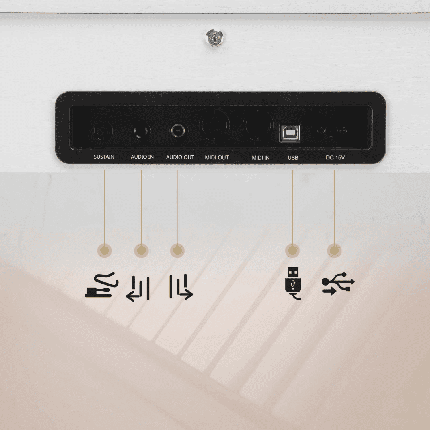 Hassch 88 Keys Full Weighted Beginner Digital Piano with Metal Stand, Keyboard with Headphone, Power Adapter, and Triple Pedals, White