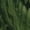 multicolor1, variant on LAOLIUSN Hoodies Men Skull 3D Graphic Print Sweatshirts Pullover Tops with Pocket, S-4XL