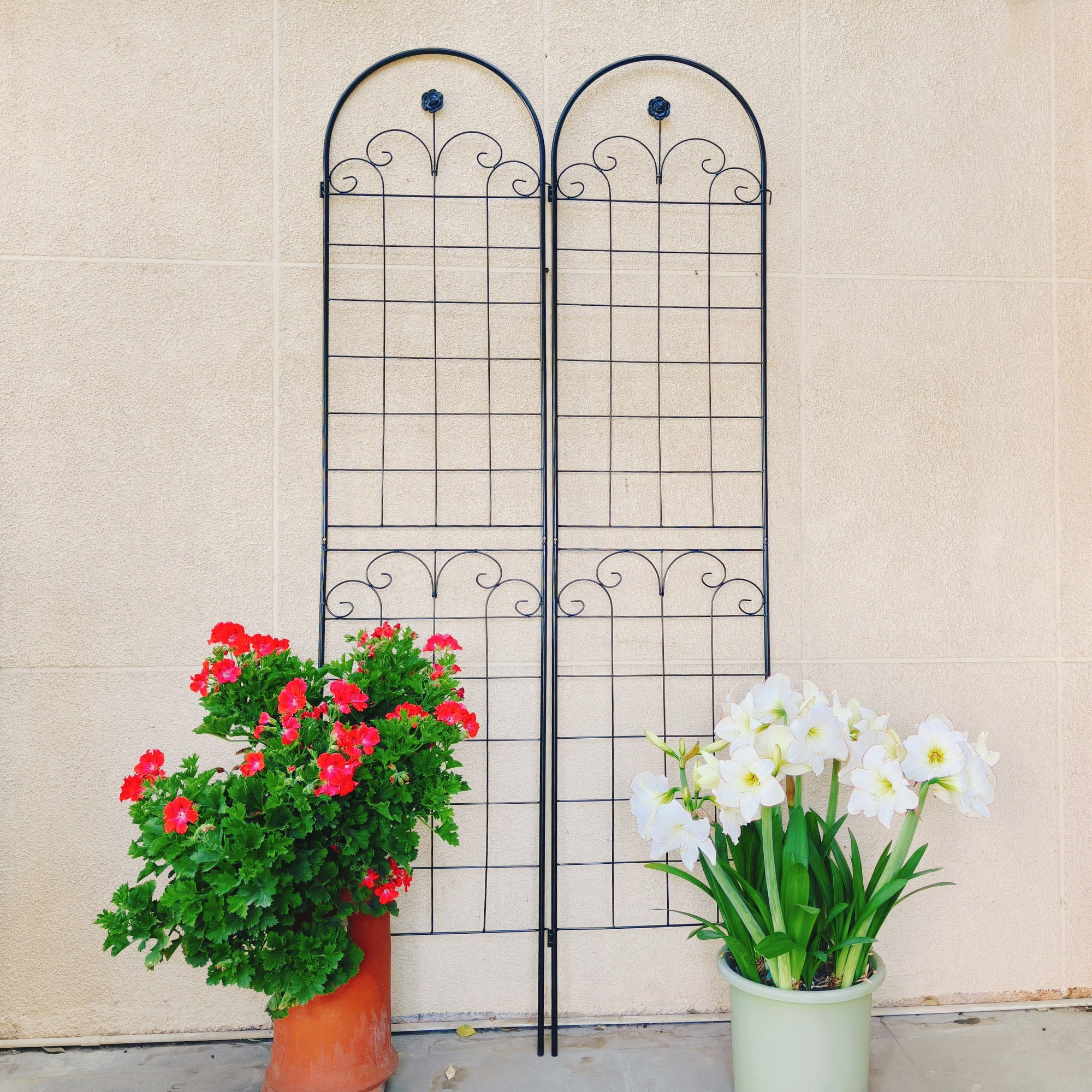 CQSXDA 4 Pack Large Garden Trellis 86.7"H x 19.7" W Heavy Duty Rustproof Black Iron Plant Trellis for Potted Plant Support Metal Climbing Rose Trellis Vine Vegetable Cucumber