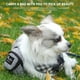 thumbnail image 1 of Dispensador portátil de bolsas para excrementos de perro con bolsillos | Soporte para bolsas de desechos de mascotas para exteriores, para correa o cinturón | Accesorio para mascotas ideal p, 1 of 2