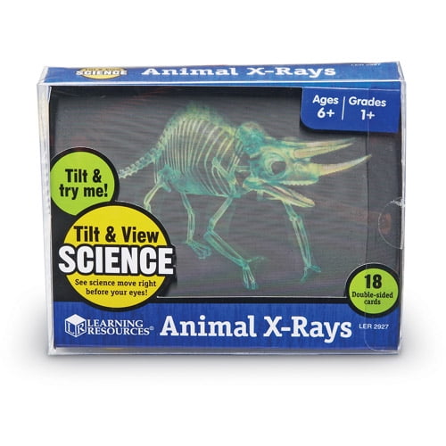 Tilt & View Animal X-Ray Cards - Walmart.com - Walmart.com