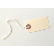 #1 Shipping Tags, Manila Pre-Strung, 2-3/4" x 1-3/8", Reinforced Eyelet (M11-501) - Pack of 100 Tags