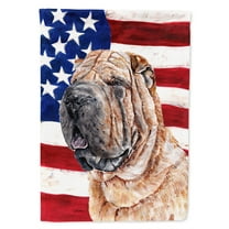 Carolines Treasures SC9623CHF Shar Pei with American Flag USA Flag Canvas House Size  Large multicolor