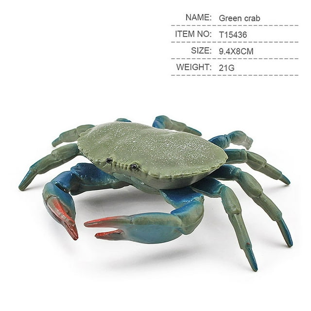 Crabe Simulation Coloré Animaux Marins et Petits Animaux Ensemble Modèle Ornements