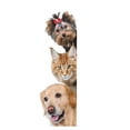 thumbnail image 1 of 3D Simulation Kitty Dog Wall Stickers Living Room Bedroom Entrance Corner Decorative Stickers Creative Water Proof Wall Paper, 1 of 5
