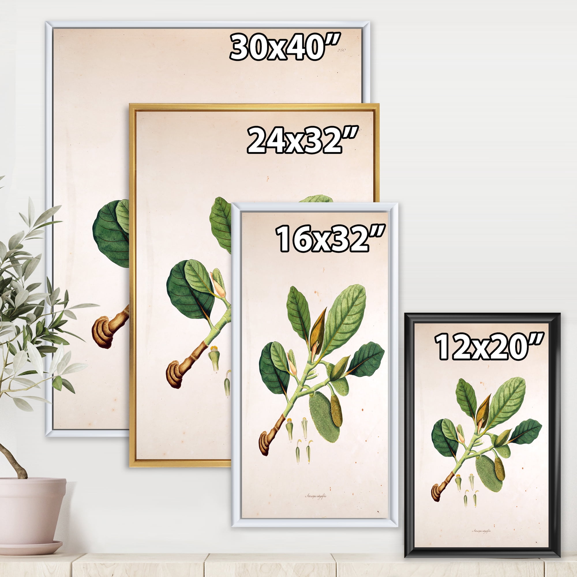 Designart 'Ancient London Plants I' Farmhouse Framed Canvas Wall Art Print