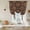 Orange, variant on Dark Brown Balloon Curtains for Living Room/French Door, Vintage Abstract Flowers Pattern Tie Up Curtains 63 Inch Length Energy Saving Kitchen Curtains Shades for Windows 42"x63"