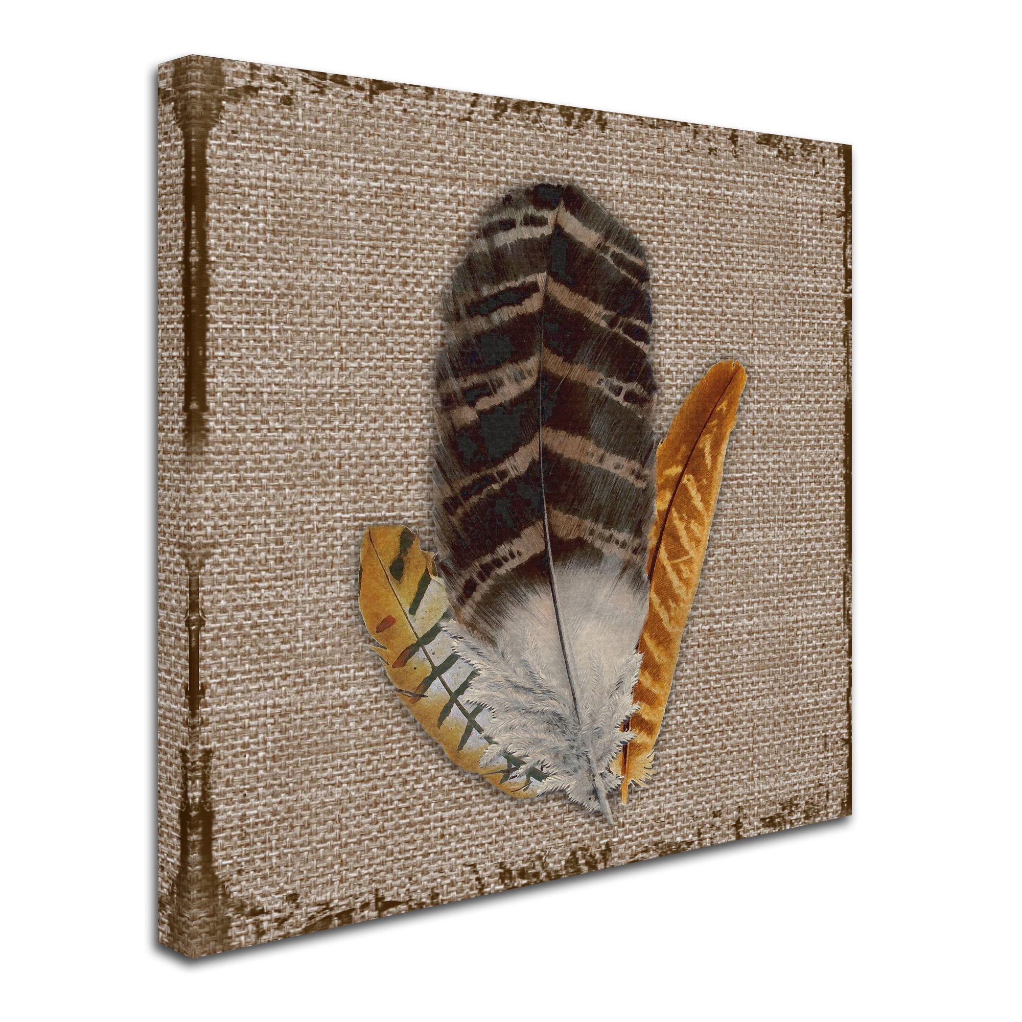 Trademark Fine Art 'Wilderness Lodge 11' Canvas Art by Jean Plout
