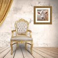 thumbnail image 3 of Deiter, Lori 12x12 Gold Ornate Wood Framed with Double Matting Museum Art Print Titled - Up Close Cow, 3 of 4