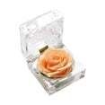 thumbnail image 1 of Amdohai Vraie Fleur de Rose Préservée dans une Boîte Transparente Rose Éternelle Parfumée, 1 of 7