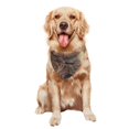 thumbnail image 5 of Goofa Sunshine Cloud Kitten Printing Dog Bandana ,Cat Scarf Adjustable Bib Handkerchief Accessories for Dogs Cats,Pet scarf,Pet fashion, 5 of 6