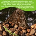 thumbnail image 4 of Orchid Barks Organic New Zealand Pine Bark for Orchids Bark Potting Mix Natural New Zealand Pinus Radiata Bark Medium Chips 8-15mm 2 quart Orchid Potting Bark, 4 of 8
