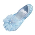 thumbnail image 1 of Espadrilles pour Filles Chaussures Pailletées pour Petites Filles Chat et Chaussures - Chaussures de Danse Ballet Performance Chaussures de Course Filles Chaussures de Tennis Filles Chaussures d'Intérieur - Chaussures de Randonnée Yoga Filles 9, 1 of 3