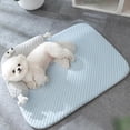 thumbnail image 4 of DPTALR Cool Feeling Dog Mats - Breathable Cool Small Dogs - Spring And Summer Dog Bed Kennel - Pet Dog Mats, 4 of 9