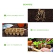thumbnail image 5 of Darzheoy 120 Cells Seed Starter Tray, 12 Packs Biodegradable Peat Pots for Seedlings, Organic Germination Plant Starter Kit with 10 Labels and 2 Transplant Tools, 5 of 7