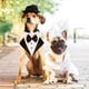 thumbnail image 5 of Pajarita ajustable para bodas de perros para eventos formales, cumpleaños y fiestas: un toque elegante para tu mejor amigo peludo. Esmoquin con cuello tipo bandana para mascotas, 5 of 5