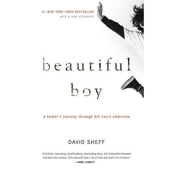 Beautiful Boy: A Father's Journey Through His Son's Addiction, (Paperback)