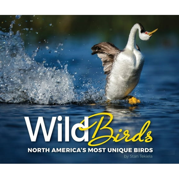 Wildlife Appreciation Wild Birds: North America's Most Unique Birds, (Paperback)