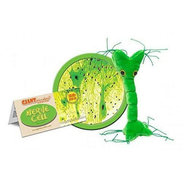 GIANT MICROBES Jouet en Peluche pour Cellules Nerveuses