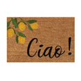 thumbnail image 1 of Giyblacko Carpet Door Mats Lemon Mat Holiday Mat Welcome Door Mat Polyester Door Mat, 1 of 1